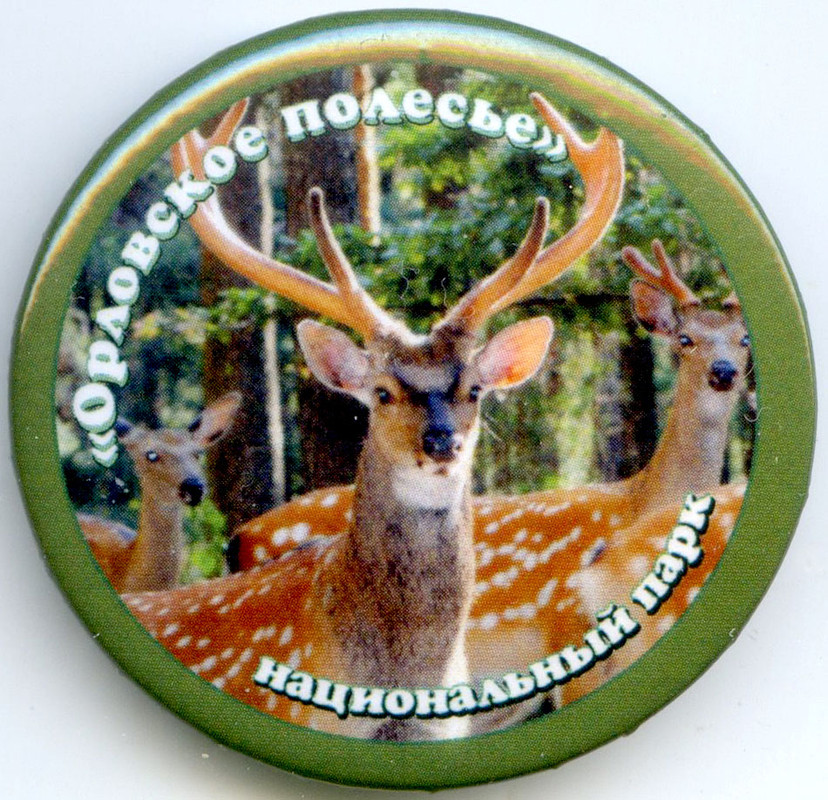 Орловское полесье закатной 5