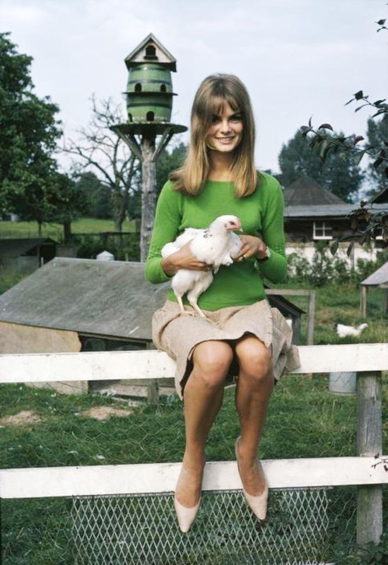 jean_shrimpton_md28