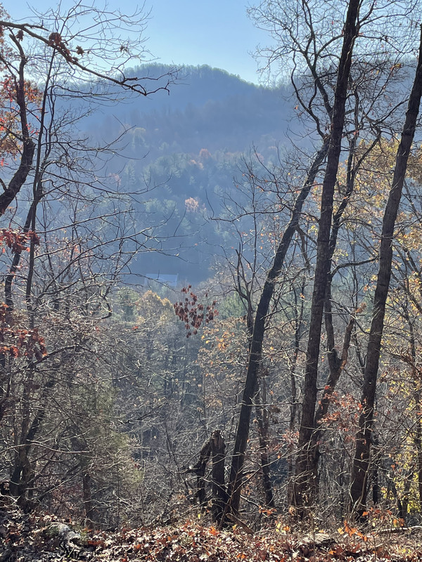 88AA0DB3-B976-4308-B534-E4185CD1EAC6