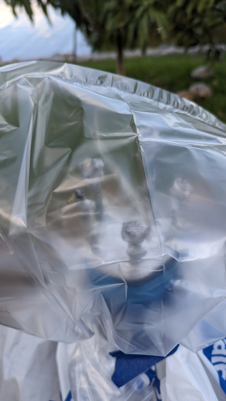 PXL_20230425_224142127