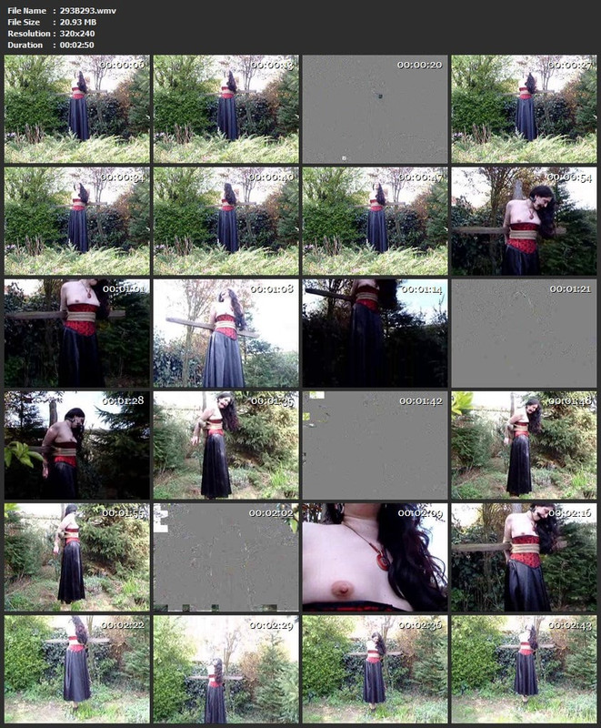 293B293.wmv