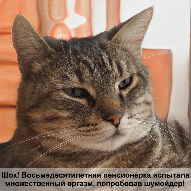 у кошки лезет хвост