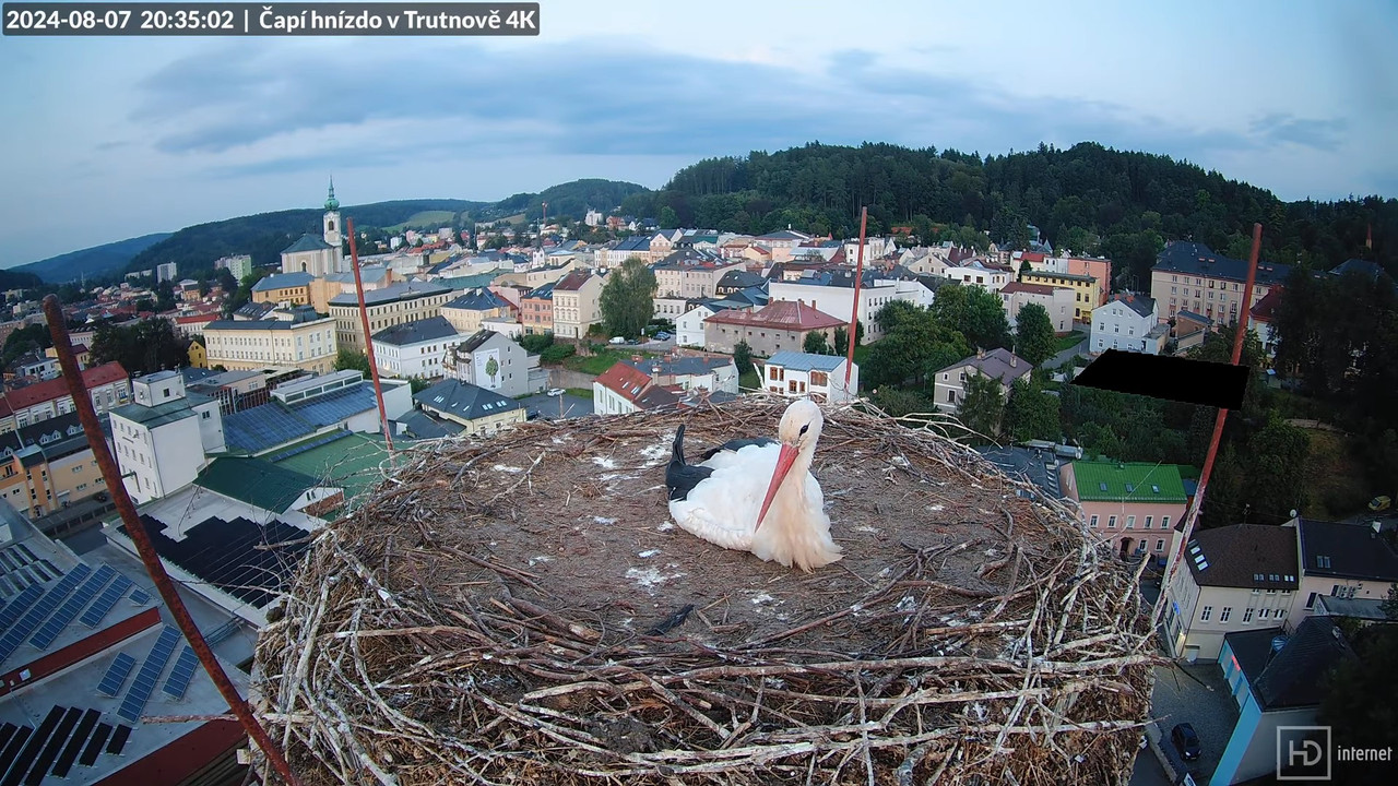 Tiešraidē no stārķa ligzdas uz alus darītavas skursteņa Trutnovā 17-0-31 screenshot
