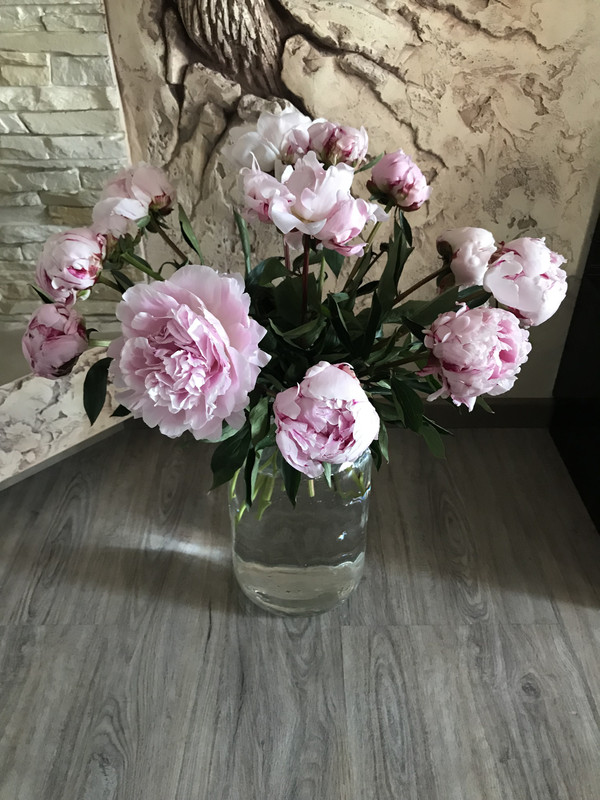 182BB189-BB47-4386-8AD1-E630786D4D9A