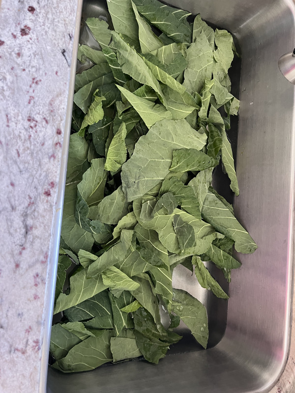 48207FF2-C9C9-43C3-9FD2-6B42CCE03EA3