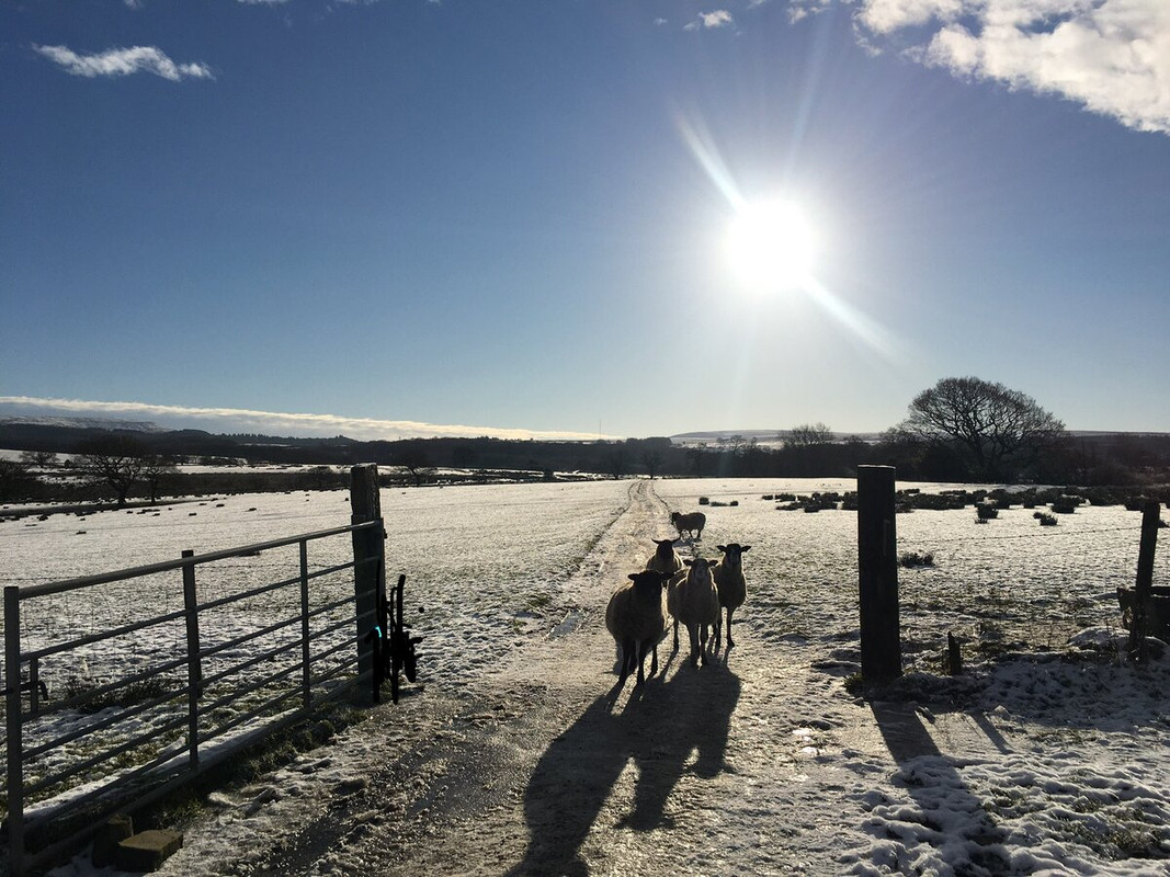 59EB6426-EE85-4E0B-8605-AFE03A9231D7