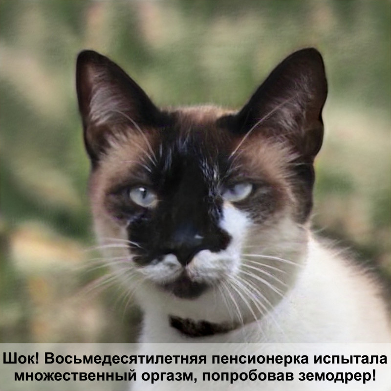 стрижка собак и кошек