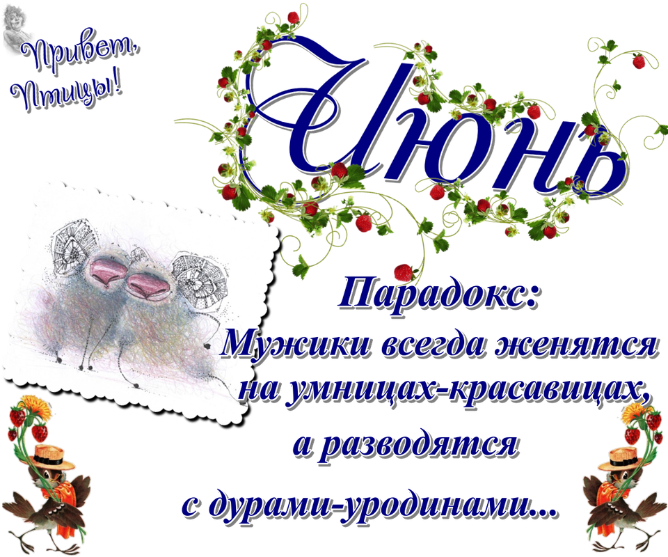 https://i.postimg.cc/CLzfkQgJ/28-06.png