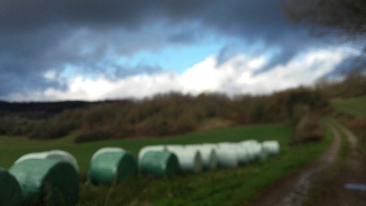 7AA5A7CC-D2E1-4D20-B10D-61B5F2630D49