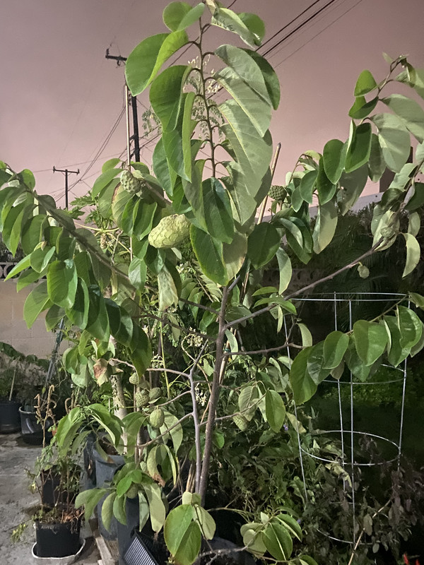 09C3080D-DEBA-498B-AE4B-CDCD7017647C