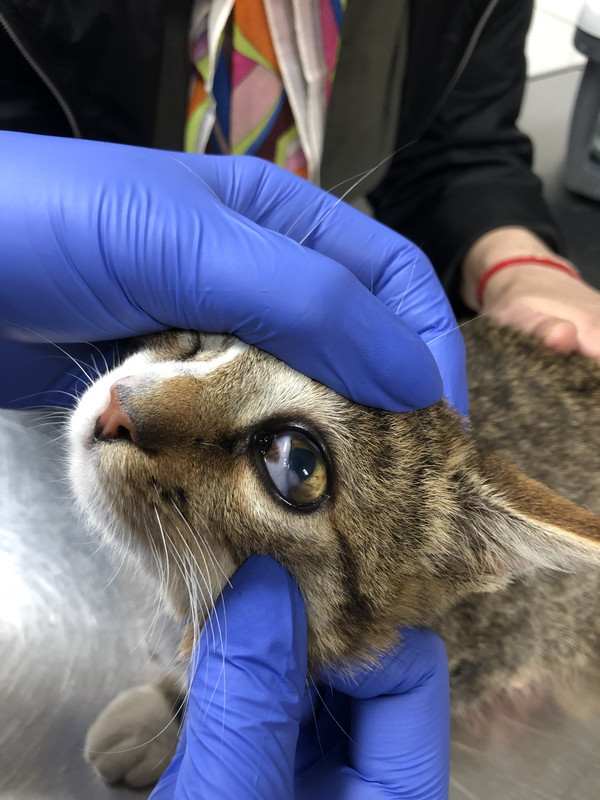 33D5295B-977F-47ED-B5A0-23BA8A4F7559