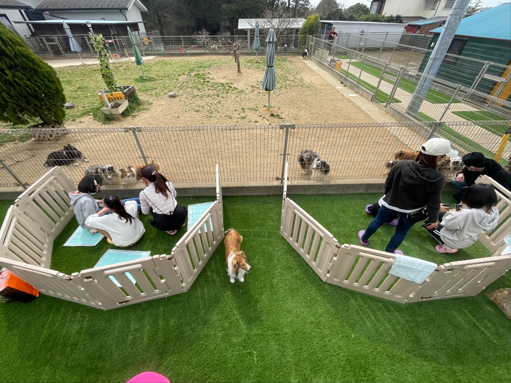 屋外での見学の様子