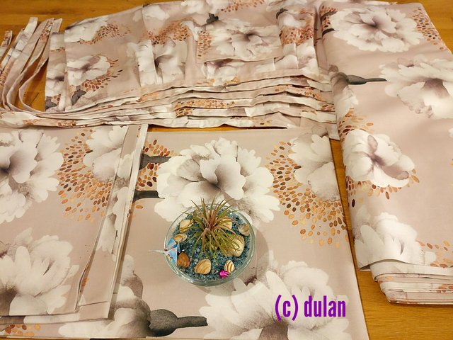 [Image: IMG-20240109-164420.jpg]