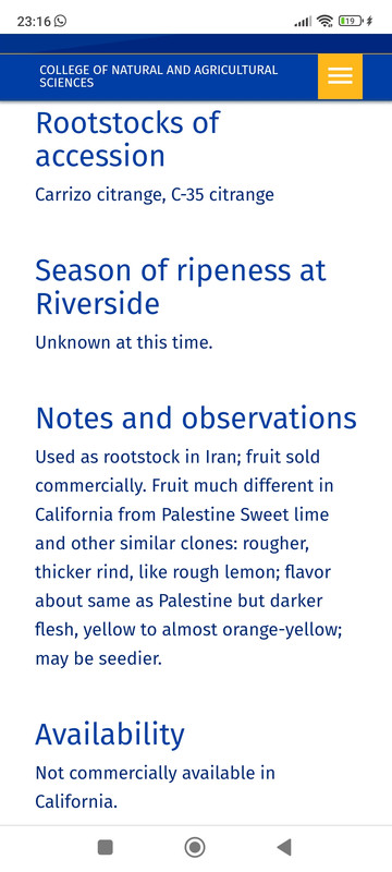 Screenshot_2024-02-05-23-16-40-892_com.android.chrome