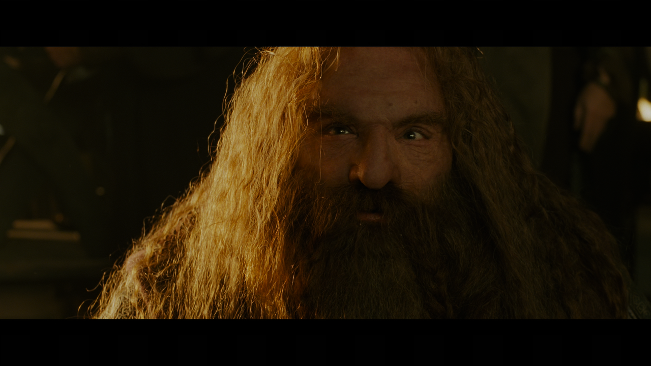 The Lord of the Rings- The Return of the King (EXT.) PT. 1.mkv_snapshot_00.21.12_[2020.12.15_18.33.4