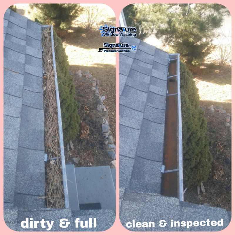 Window Washing Denver (5)