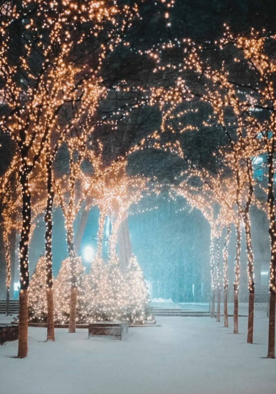 Screenshot_20230131_224332_Chrome