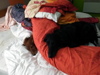 [Image: IMG-20210407-200745.jpg]