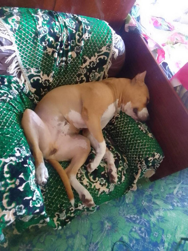 EA0124C3-C884-48BB-9615-849706DDB959