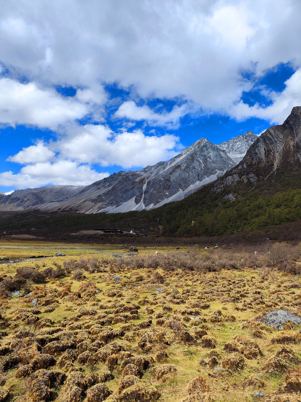 IMG_20230520_163630_副本