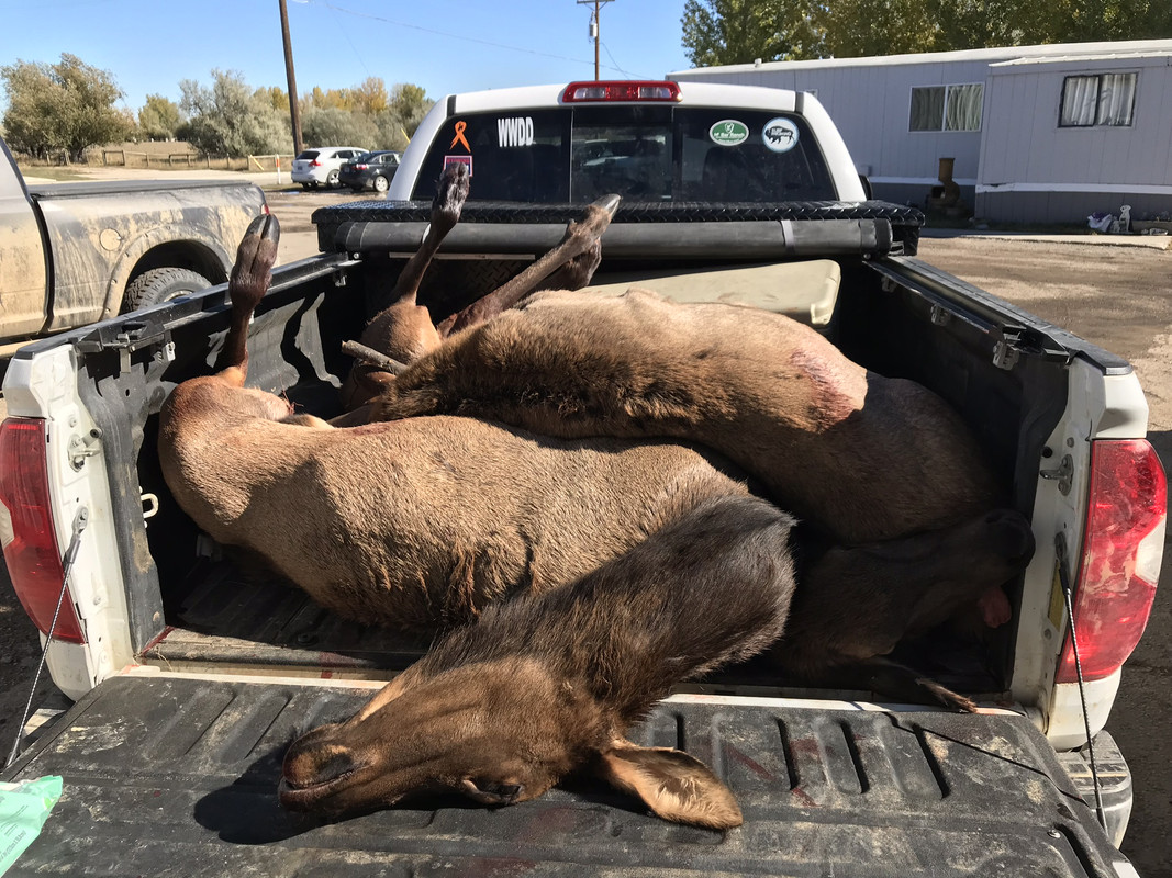 33A34286-4C68-4029-AA6D-47E004BC096F