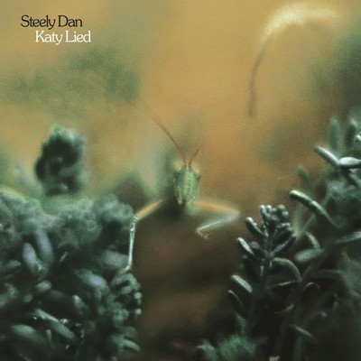 Steely Dan - Katy Lied (1975) [2025, Remastered, Hi-Res SACD Rip]