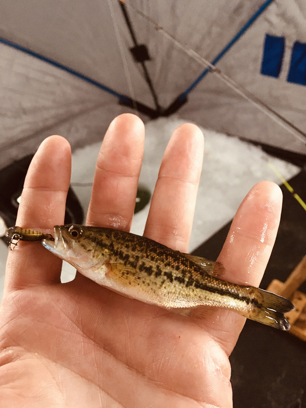 27BC6260-23E6-483A-A5BB-649E42976558