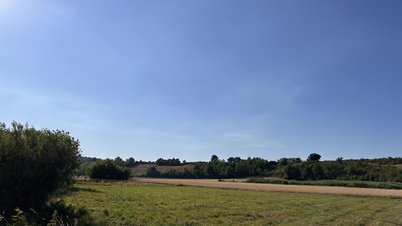 IMG-1870.jpg