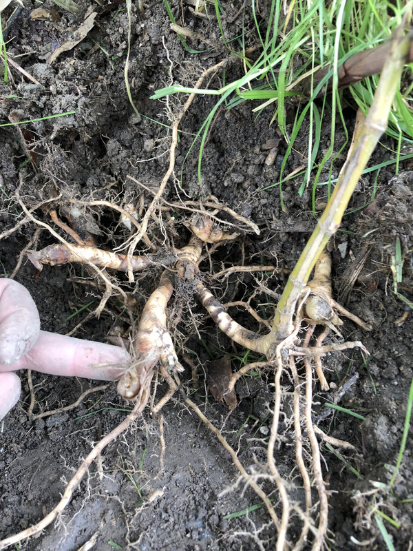 1D784DC3-39B6-471E-9B0D-AF237607C920