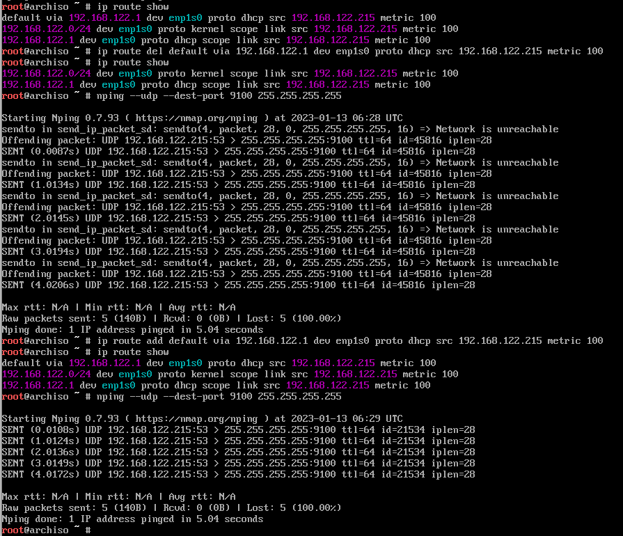 Screenshot UDP test live cd