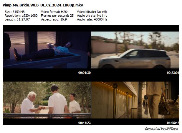 Zlato, uber plyn! / L'Heureuse Élue (2024)