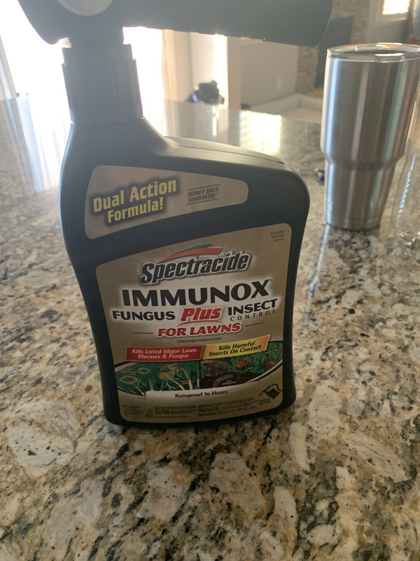 Possible brown patch in Zeon Zoysia | Lawn Care Forum