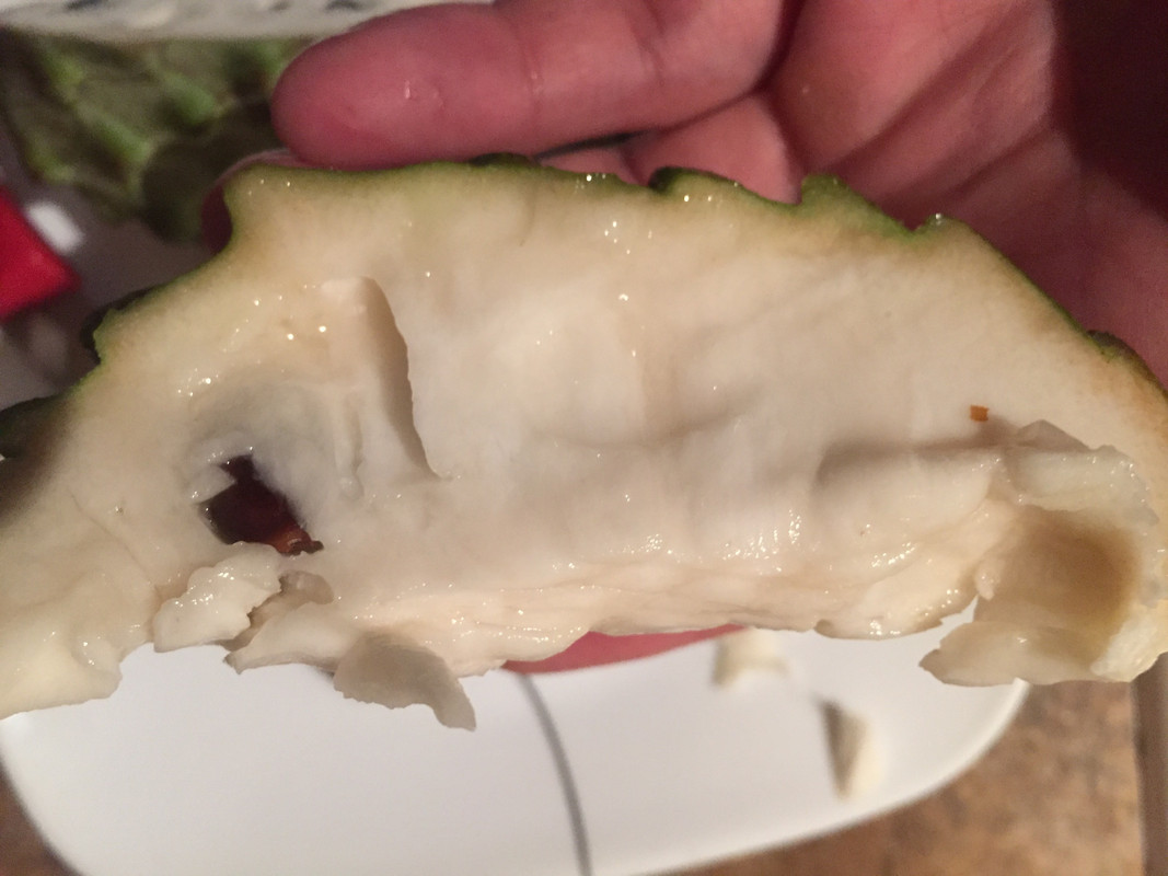 0DA5E51B-4687-4049-A343-BC9F5FD9904C