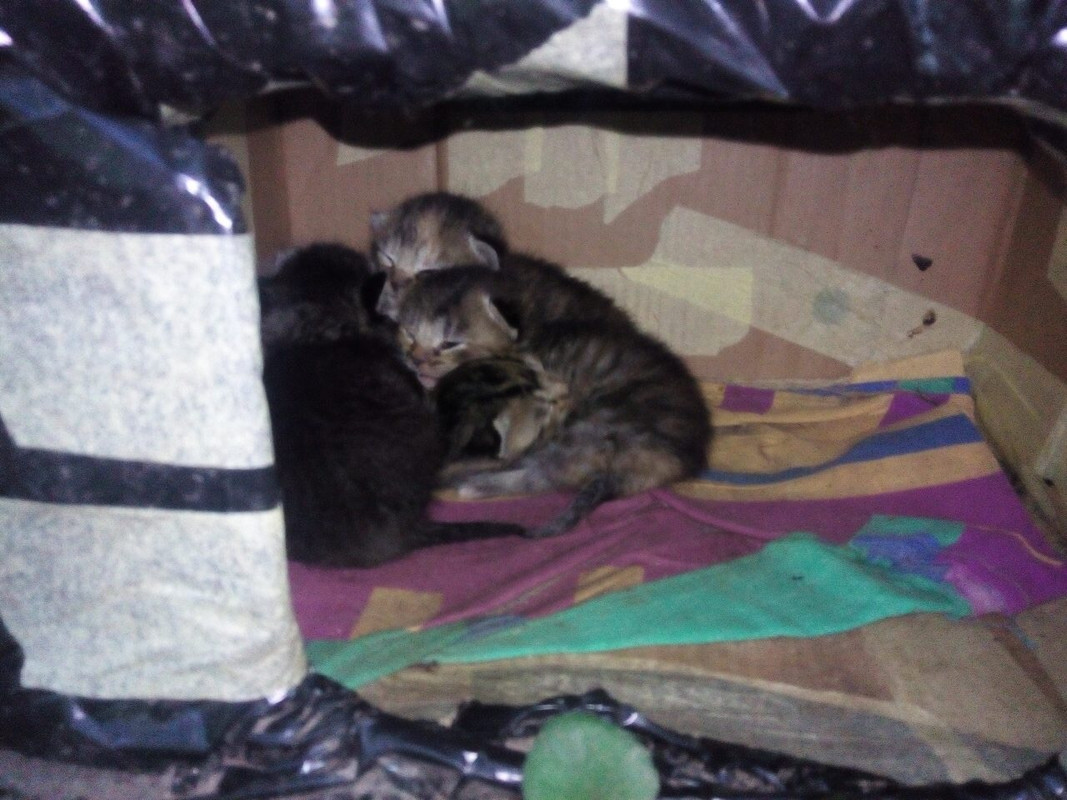 A7964866-A4FD-41AA-BDD0-745E65822FE3