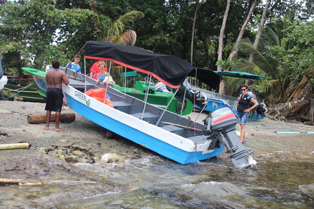 DÍA 5: PARQUE NACIONAL CAHUITA - DE TORTUGAS Y PEREZOSOS. COSTA RICA 2019 (23)