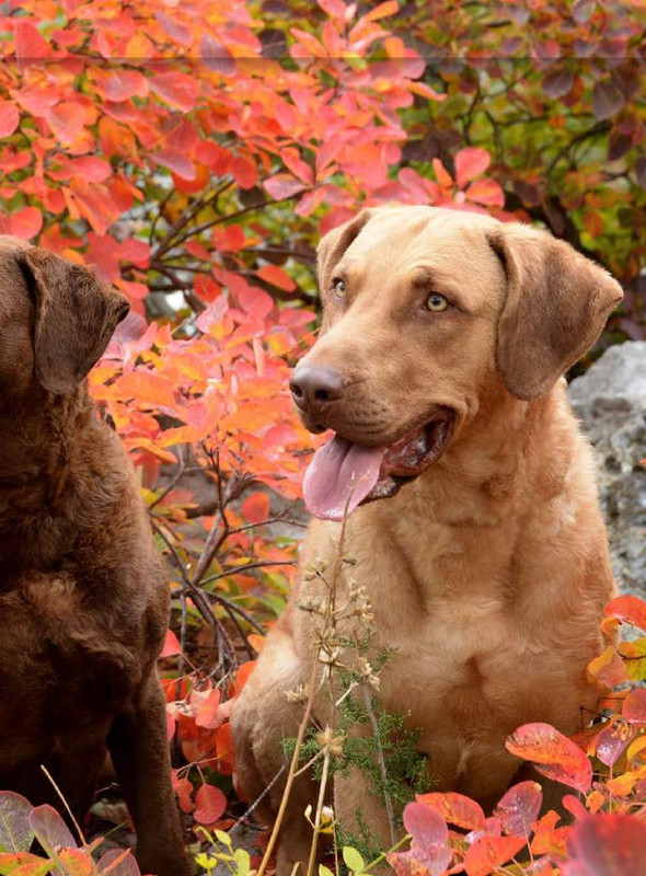 Il M C Lug-Ago 2022 (2)