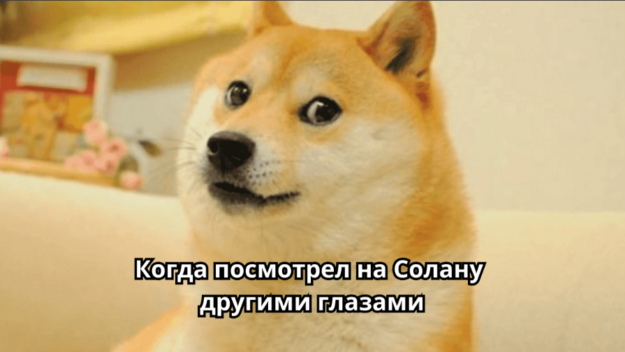 guide Ажиотаж вокруг мем-токенов. Запускать ли проект на Solana?