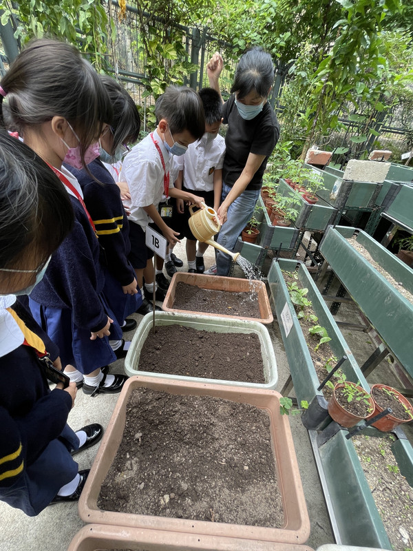 photo-littlefarmer2223-1B-013