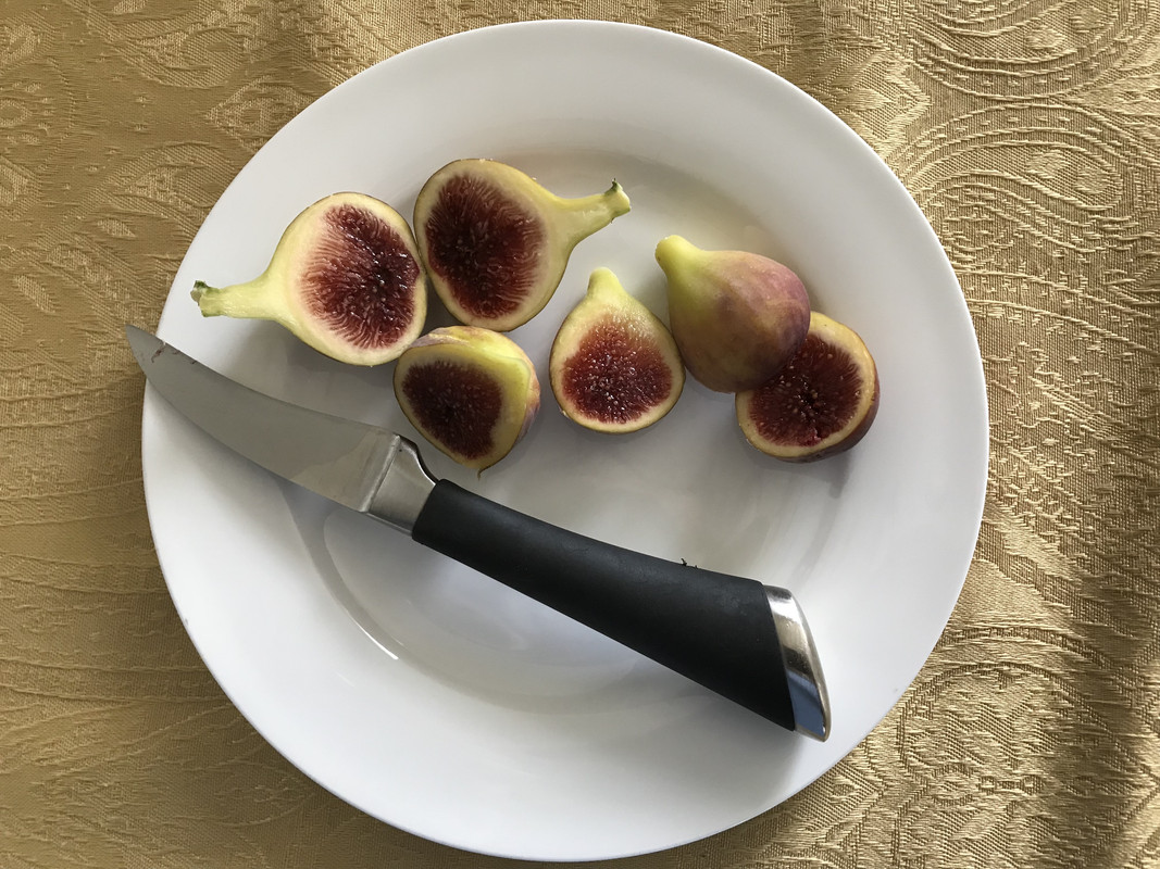 1D18BFBF-678D-433E-849E-327E9D2FCC42