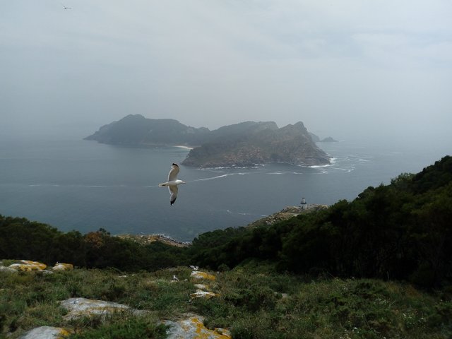 COSTA DE GALICIA IV: COSTA DE VIGO, Guias-España (12)