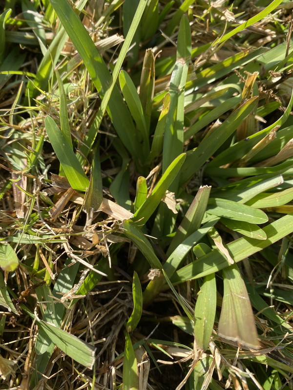 7964F556-8F71-4316-81C3-0C714A016553