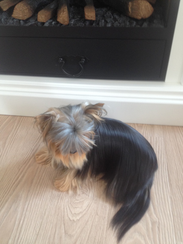 10CC2C0B-E3BC-445B-97A4-CF82DF68059B