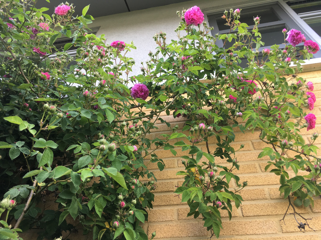 F3E1934A-FD76-4ED1-B2DC-ABE61E6699ED