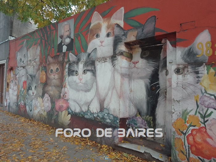 fotoarteurbanovillacrespogatitos3