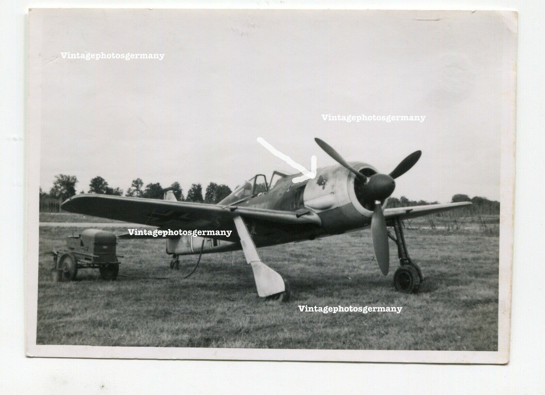 K3104 Foto deutsches Flugzeug Focke Wulf Fw 190 FW190 Staffelwappen Wappen Jäger