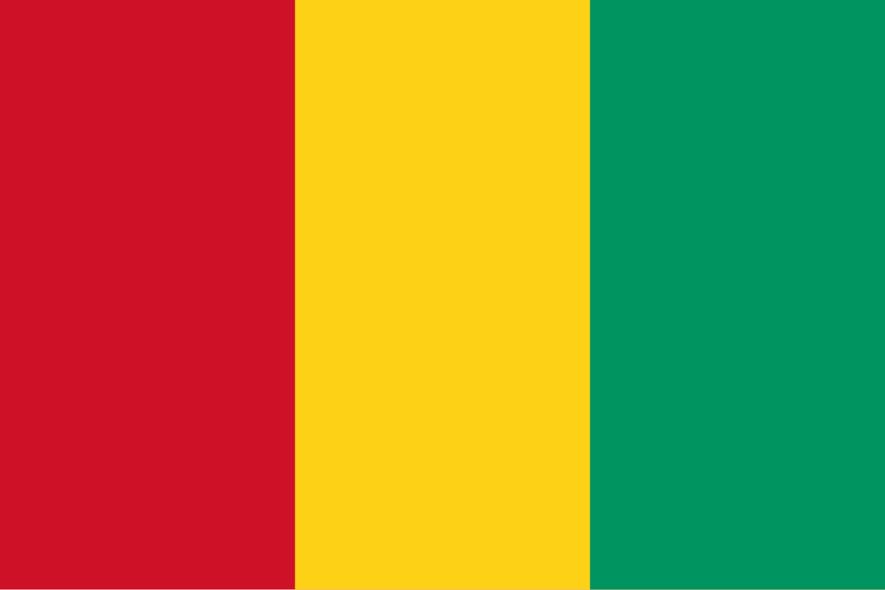 https://i.postimg.cc/CM8R4HKJ/Flag-of-Guinea-svg.png