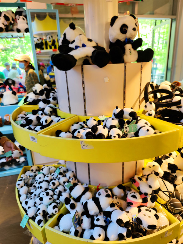 IMG_20230513_104517_副本