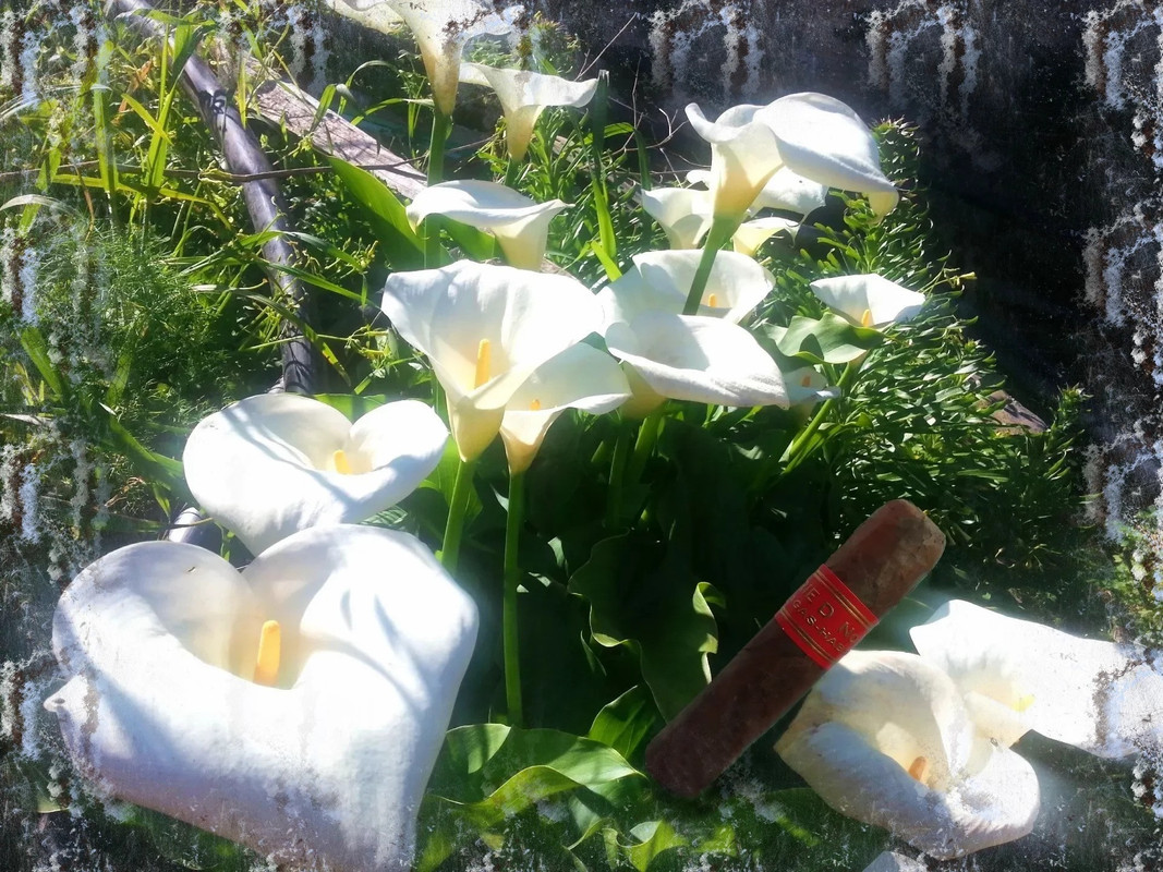 tuxpi-com-1713767390