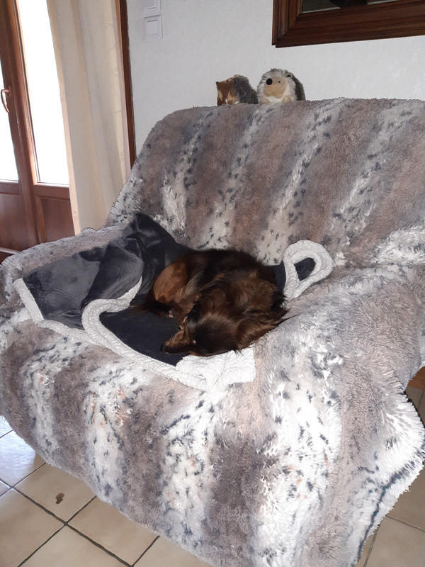 [Image: 20201027-114915.jpg]