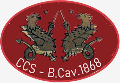 CCS-BCav1868